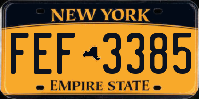 NY license plate FEF3385