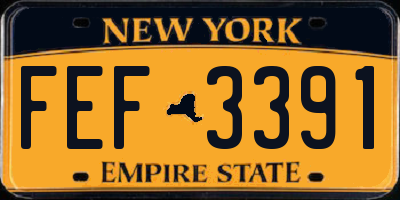 NY license plate FEF3391