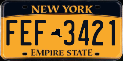 NY license plate FEF3421