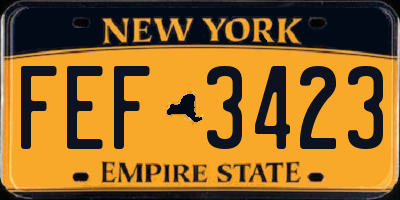 NY license plate FEF3423