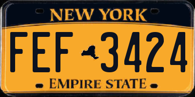 NY license plate FEF3424