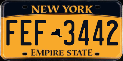 NY license plate FEF3442