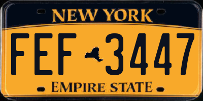 NY license plate FEF3447