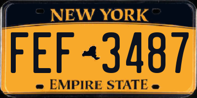 NY license plate FEF3487