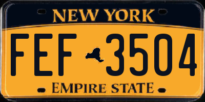 NY license plate FEF3504