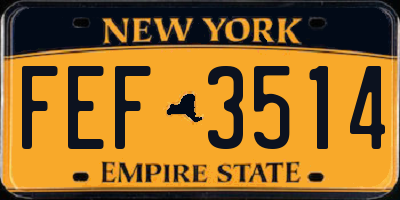 NY license plate FEF3514