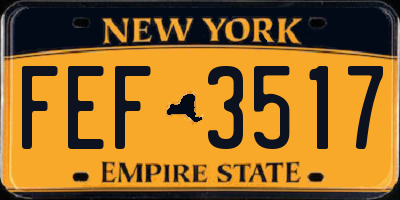 NY license plate FEF3517