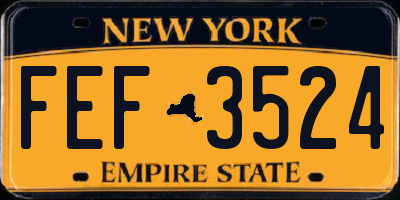 NY license plate FEF3524