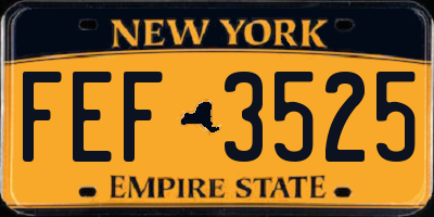 NY license plate FEF3525
