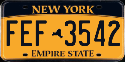 NY license plate FEF3542