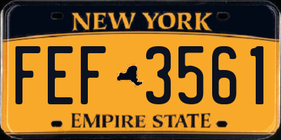 NY license plate FEF3561