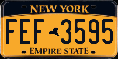 NY license plate FEF3595