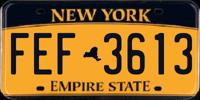 NY license plate FEF3613