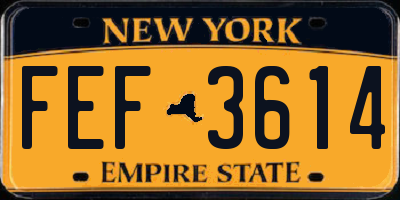 NY license plate FEF3614