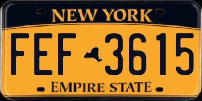 NY license plate FEF3615