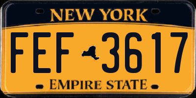 NY license plate FEF3617