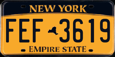 NY license plate FEF3619