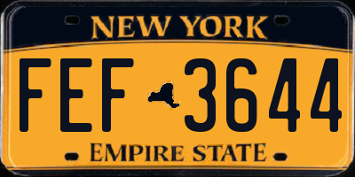 NY license plate FEF3644