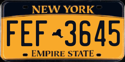 NY license plate FEF3645
