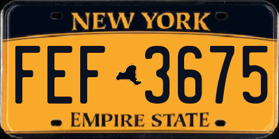 NY license plate FEF3675