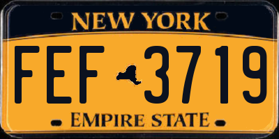 NY license plate FEF3719