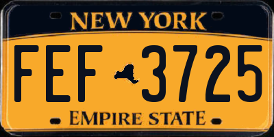 NY license plate FEF3725