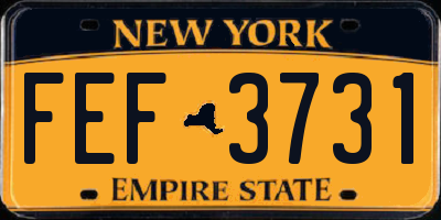 NY license plate FEF3731