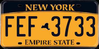 NY license plate FEF3733