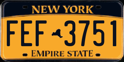 NY license plate FEF3751