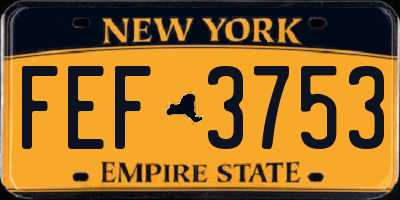 NY license plate FEF3753