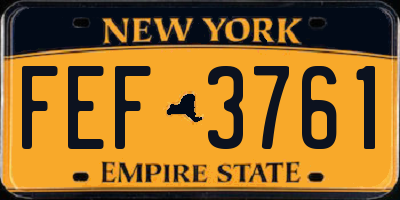 NY license plate FEF3761