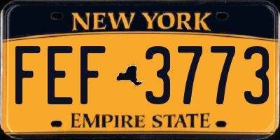 NY license plate FEF3773