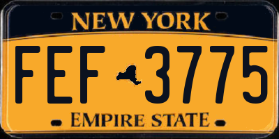 NY license plate FEF3775