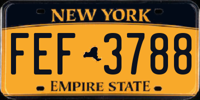 NY license plate FEF3788