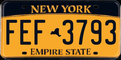 NY license plate FEF3793