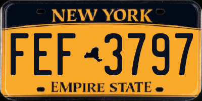 NY license plate FEF3797