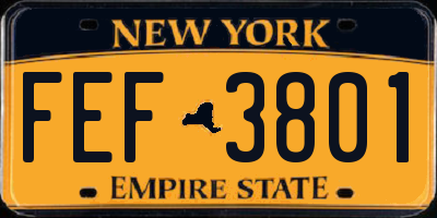 NY license plate FEF3801
