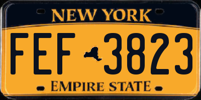 NY license plate FEF3823