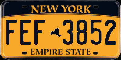 NY license plate FEF3852