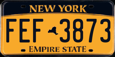NY license plate FEF3873