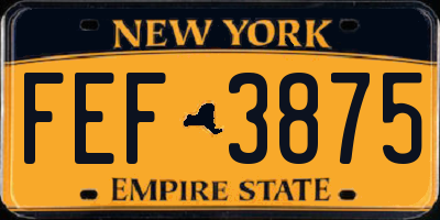 NY license plate FEF3875