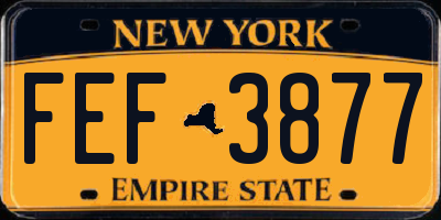 NY license plate FEF3877