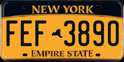 NY license plate FEF3890