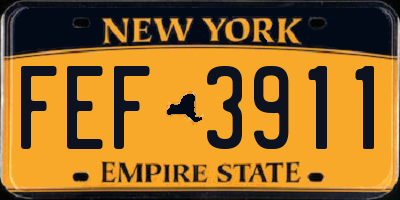 NY license plate FEF3911