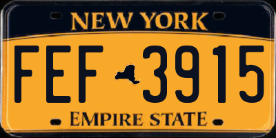 NY license plate FEF3915