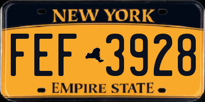 NY license plate FEF3928