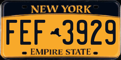 NY license plate FEF3929