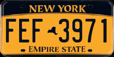 NY license plate FEF3971