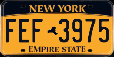 NY license plate FEF3975