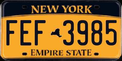 NY license plate FEF3985